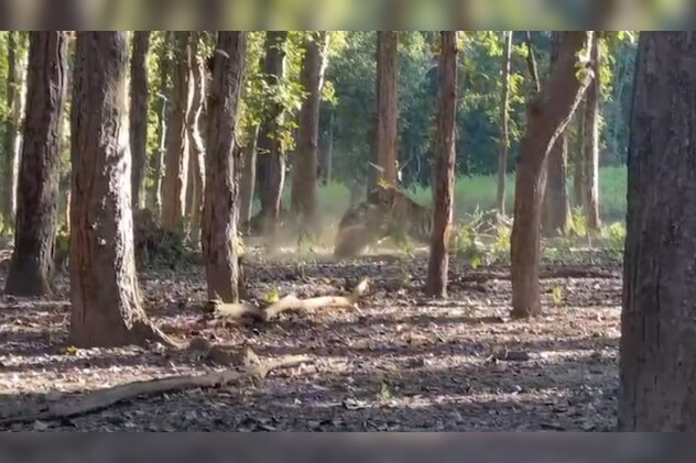 Latest and Breaking News on NDTV