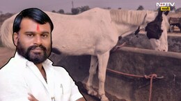 Maval News: 8 वर्षांपूर्वी मालकाचा एन्काऊंटर, घोडा आजही घालतोय कोर्टाच्या येरझाऱ्या; 'मावळ' हादरवणारं प्रकरण काय?