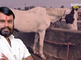 Maval News: 8 वर्षांपूर्वी मालकाचा एन्काऊंटर, घोडा आजही घालतोय कोर्टाच्या येरझाऱ्या; 'मावळ' हादरवणारं प्रकरण काय? Maval News: 8 वर्षांपूर्वी मालकाचा एन्काऊंटर, घोडा आजही घालतोय कोर्टाच्या येरझाऱ्या; 'मावळ' हादरवणारं प्रकरण काय?