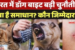 Dog Terror In India: भारत में Dog Bite एक बड़ी चुनौती, क्या है समाधान? कौन जिम्मेदार? समझिए | Rabies Dog Terror In India: भारत में Dog Bite एक बड़ी चुनौती, क्या है समाधान? कौन जिम्मेदार? समझिए | Rabies