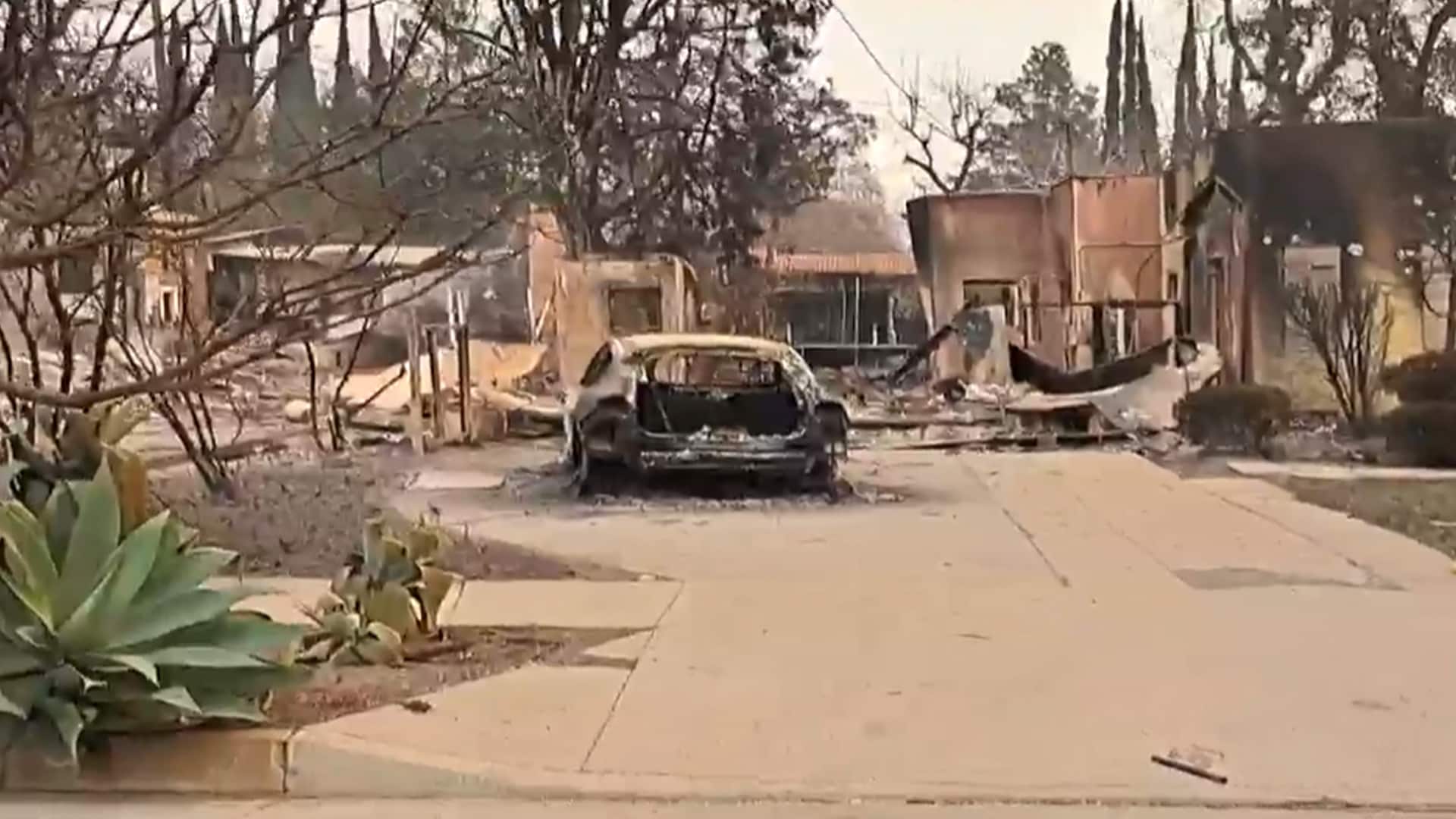 NDTV Ground Report: 3,000-acre Fire In LA: Wildfire Disaster Continues To Worsen