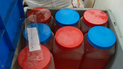 Food Items Worth Rs 14 Lakh Seized At Telangana Bakery During Inspection