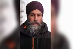 "Have Message For Donald Trump": Ex-Justin Trudeau Ally Jagmeet Singh's Big Warning "Have Message For Donald Trump": Ex-Justin Trudeau Ally Jagmeet Singh's Big Warning