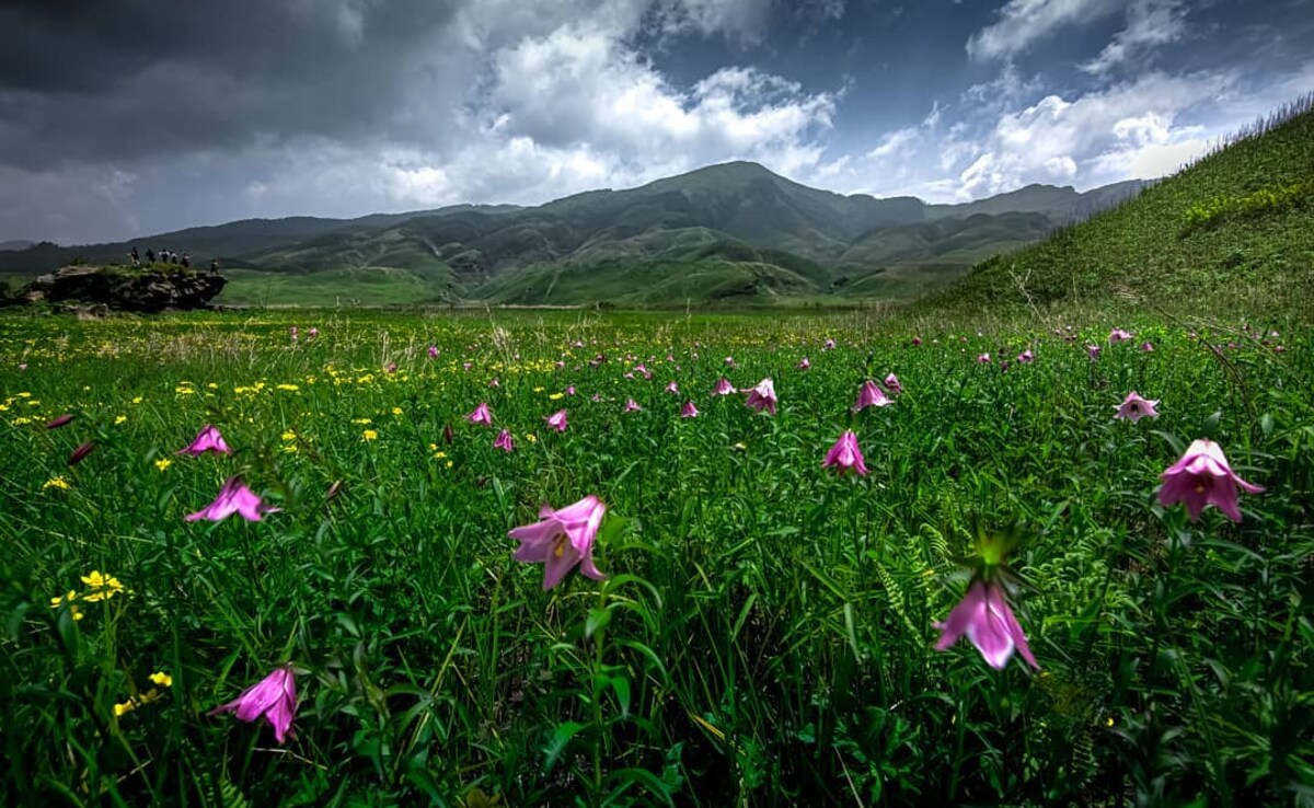 Dzukou Valley. Photo: Instagram/momo_irengbam Dzukou Valley. Photo: Instagram/momo_irengbam