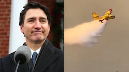 "Neighbour Helping Neighbor": Trudeau Sends Aid To Fight Los Angeles Fire