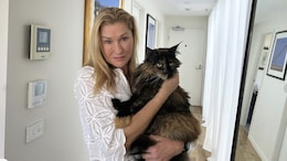 "How Can This Happen?" Cat Left On Plane Travels Back And Forth Between New Zealand And Australia
