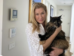 "How Can This Happen?" Cat Left On Plane Travels Back And Forth Between New Zealand And Australia