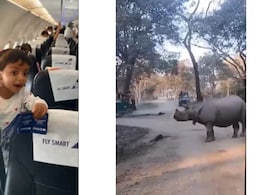 Top 5 videos: इस हफ्ते वायरल हुए इन वीडियो ने मचाया तहलका, राइनो के आगे गिरीं मां-बेटी से बंदर के पतंग उड़ाने तक..