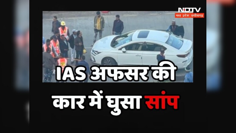 Giant Snake: सीनियर IAS अफसर 4 घंटे तक अपनी गाड़ी में जहरीले सांप को लेकर घूमते रहे, जैसे पड़ी नजर तो...
