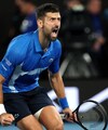 Novak Djokovic Thrashes Carlos Alcaraz To Secure Aus Open Semi-Final Berth