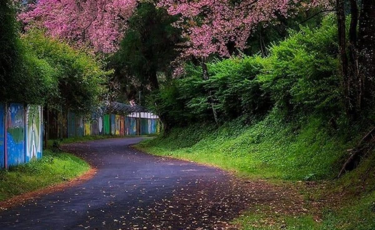 Никое друго място в света не е пролетта доста като