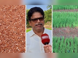 Good News: डायबेटीस रुग्णांसाठी खूषखबर!'या' शोधामुळे बिनधास्त खाता येणार भात