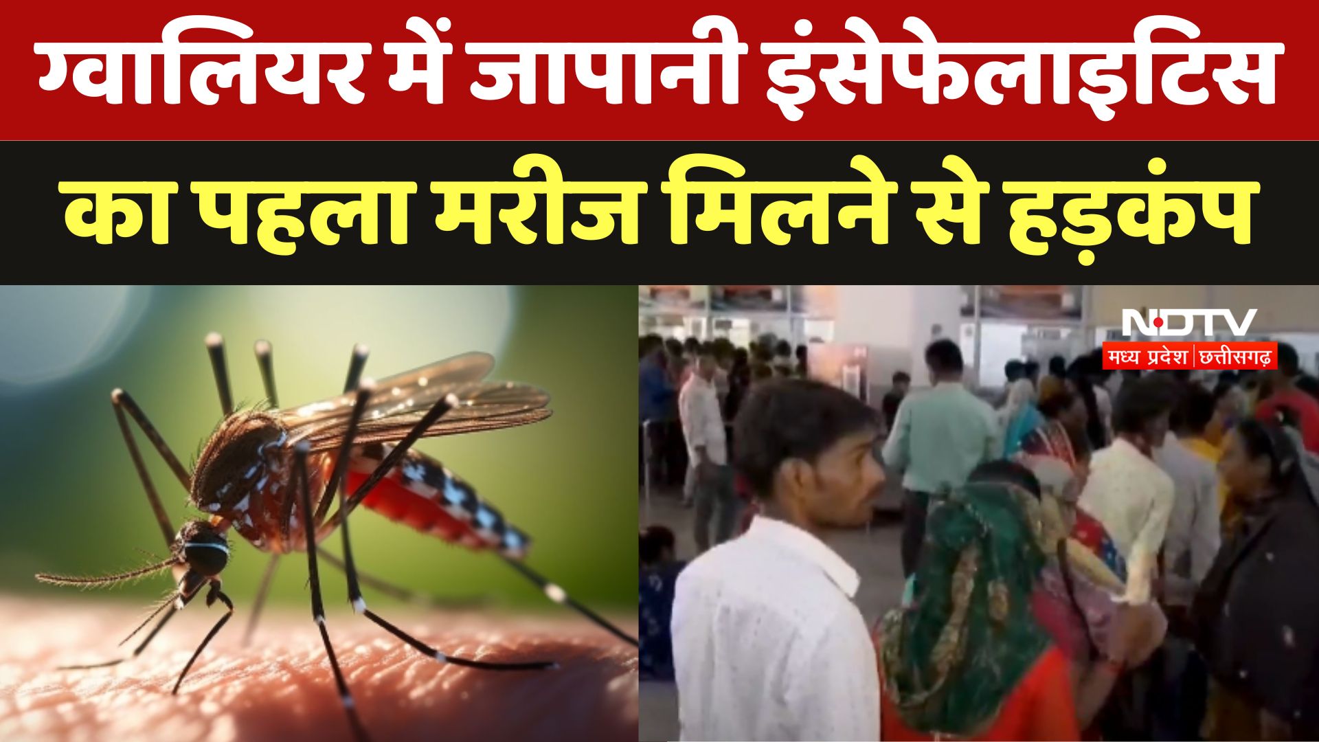 Gwalior में Japanese Encephalitis का पहला मरीज मिलने से हड़कंप
