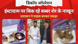 Rajasthan: अधिकारियों ने ग्राहक बनकर शोरूम में मारा छापा, बब्बर शेर के नाखून से लेकर ये सब सामान हुआ जब्त