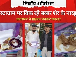 Rajasthan: अधिकारियों ने ग्राहक बनकर शोरूम में मारा छापा, बब्बर शेर के नाखून से लेकर ये सब सामान हुआ जब्त Rajasthan: अधिकारियों ने ग्राहक बनकर शोरूम में मारा छापा, बब्बर शेर के नाखून से लेकर ये सब सामान हुआ जब्त