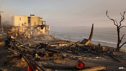 Toy lawnmower To Pearls, Here's What LA Wildfire Survivors Found In Their Now-Destroyed Homes