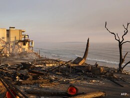 Toy lawnmower To Pearls, Here's What LA Wildfire Survivors Found In Their Now-Destroyed Homes Toy lawnmower To Pearls, Here's What LA Wildfire Survivors Found In Their Now-Destroyed Homes