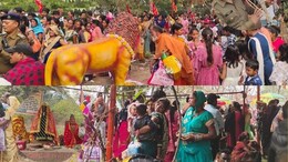 तुरतुरिया धाम मेला में अव्यवस्थाओं का अंबार, संतान प्राप्ति की कामना लेकर भारी संख्या में पहुंच रहे श्रद्धालु