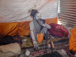 At Maha Kumbh Mela, This Seer Carrying A Pigeon For Nine Years In Spotlight At Maha Kumbh Mela, This Seer Carrying A Pigeon For Nine Years In Spotlight