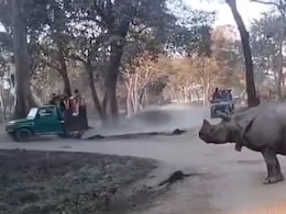 Video: Chilling Moment When 2 Women Fall In Front Of Rhino In Kaziranga Video: Chilling Moment When 2 Women Fall In Front Of Rhino In Kaziranga