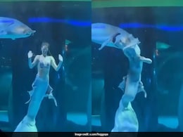 Video: Woman Performing As Mermaid Attacked By Huge Fish In Chinese Aquarium Video: Woman Performing As Mermaid Attacked By Huge Fish In Chinese Aquarium