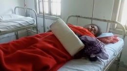 7 Women Tea Estate Workers Injured In Elephant Attack In Assam