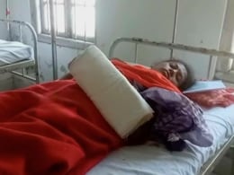 7 Women Tea Estate Workers Injured In Elephant Attack In Assam 7 Women Tea Estate Workers Injured In Elephant Attack In Assam