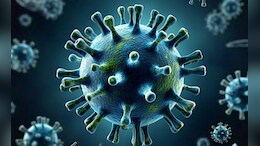 HMPV Virus: छत्तीसगढ़ में मिला &lsquo;खतरनाक वायरस&rsquo; का पहला मामला, तीन साल का बच्चा संक्रमित, बिलासपुर में अलर्ट