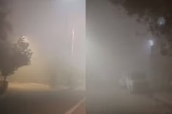 184 Flights Delayed, 7 Cancelled As Dense Fog Reduces Visibility To Zero In Delhi-NCR 184 Flights Delayed, 7 Cancelled As Dense Fog Reduces Visibility To Zero In Delhi-NCR