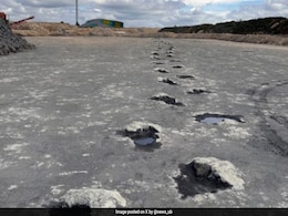 'Dinosaur Highway' With 200 Footprints From Jurassic Period Found In UK 'Dinosaur Highway' With 200 Footprints From Jurassic Period Found In UK