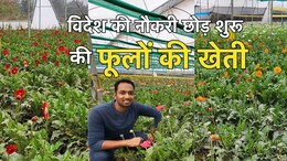 फूलों की खेती करके लाखों का मुनाफा... इतना पैसा तो 'बैंक ऑफ अमेरिका' की नौकरी में भी नहीं मिला