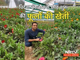 फूलों की खेती करके लाखों का मुनाफा... इतना पैसा तो 'बैंक ऑफ अमेरिका' की नौकरी में भी नहीं मिला