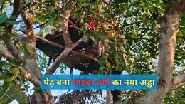 पेड़ पर मचान बनाकर करते थे ठगी, पुलिस ने 8 शातिर किए गिरफ्तार; करोड़ों की ठगी का मामला, देशभर में 55 मामले दर्ज