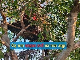 पेड़ पर मचान बनाकर करते थे ठगी, पुलिस ने 8 शातिर किए गिरफ्तार; करोड़ों की ठगी का मामला, देशभर में 55 मामले दर्ज