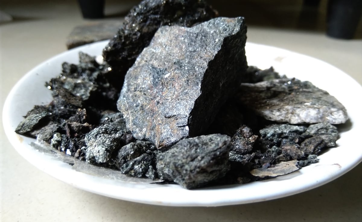 Latest and Breaking News on NDTV Latest and Breaking News on NDTV