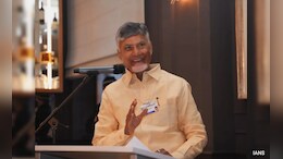 Chandrababu Naidu Wades Into Language Debate With A Narasimha Rao Example