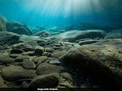 Why Deep-Sea Mining Is Risky, Unnecessary And Harmful To Oceans