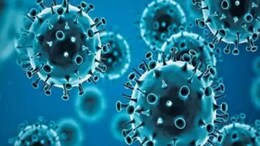 HMPV Virus : चीन में कोहराम मचाने के बाद भारत में  HMPV वायरस की दस्तक, खौफ में लोग; जानें इससे कैसे बचें?