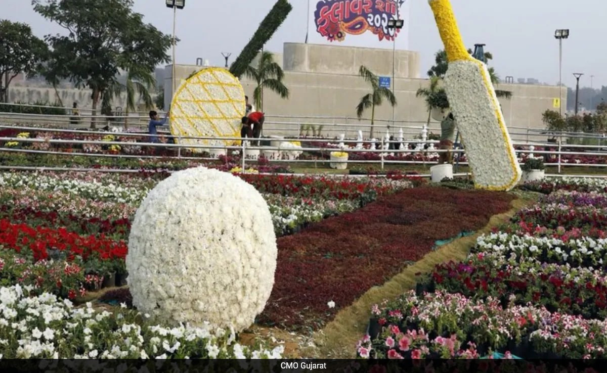 After Chief Minister Inagurates The The Event, Your Guide To The ...