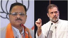 Rajasthan Politics: राधा मोहन दास अग्रवाल ने राहुल गांधी को बताया 'मूर्ख', बोले- 'ऐसा सिर्फ वही कर सकते हैं'