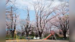 Over 175 World War II Bombs Found Underneath Children's Playground In UK