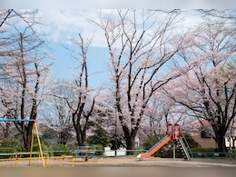 Over 175 World War II Bombs Found Underneath Children's Playground In UK