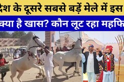 Nagaur के Ramdev Animal Fair में पहुंचे 4 हजार से अधिक जानवर,  मूंछ प्रतियोगिता ने लूटी महफिल Nagaur के Ramdev Animal Fair में पहुंचे 4 हजार से अधिक जानवर,  मूंछ प्रतियोगिता ने लूटी महफिल