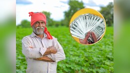Rajasthan: गेहूं के समर्थन मूल्य से हाड़ौती के किसानों के चेहरे पर रौनक, लहसुन-सरसों ने बढ़ाई परेशानी!