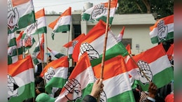 नगरीय निकाय चुनाव में करारी हार के बाद कांग्रेस में घमासान, नए प्रदेश अध्यक्ष को लेकर भी अटकलें तेज
