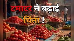 टमाटर 2 रुपये किलो... आखिर क्या है दाम गिरने की वजह? चिंता में डूबे यहां के किसान