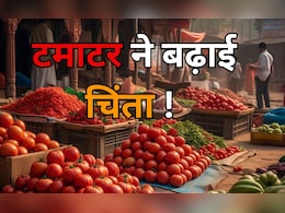 टमाटर 2 रुपये किलो... आखिर क्या है दाम गिरने की वजह? चिंता में डूबे यहां के किसान टमाटर 2 रुपये किलो... आखिर क्या है दाम गिरने की वजह? चिंता में डूबे यहां के किसान