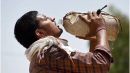 Rajasthan Weather: फरवरी में 33 डिग्री सेल्सियस के पार पहुंचा राजस्थान के इस इलाके का तापमान, लोगों के छूटे पसीने