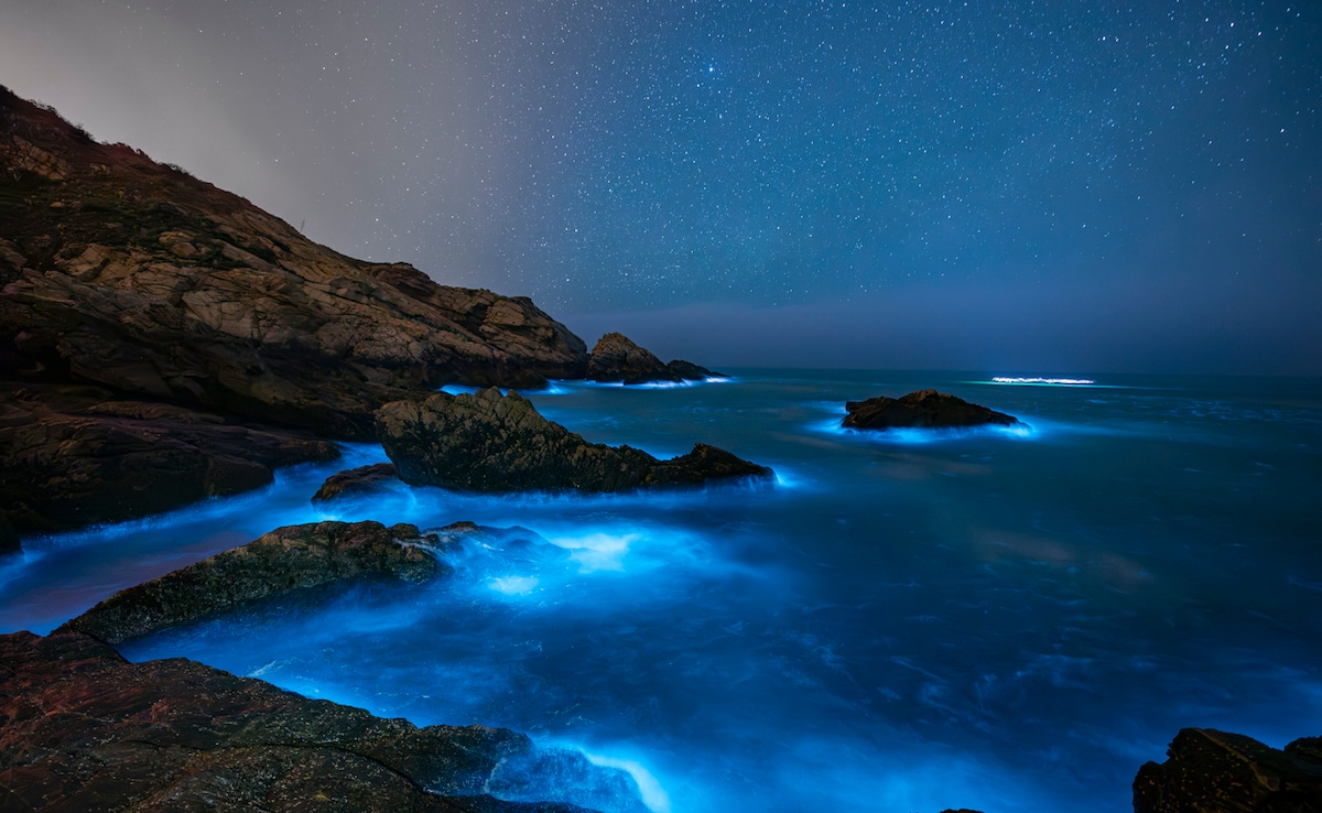 6 Bioluminescent Beaches That Will Light Up Your Trip
