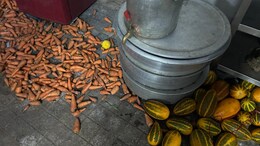 Cockroaches, Expired Food Found In Two Restaurants In Hyderabad
